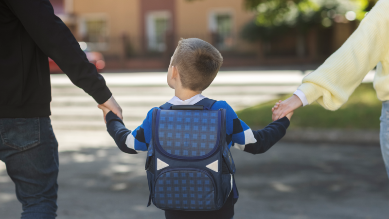 school searching in spain