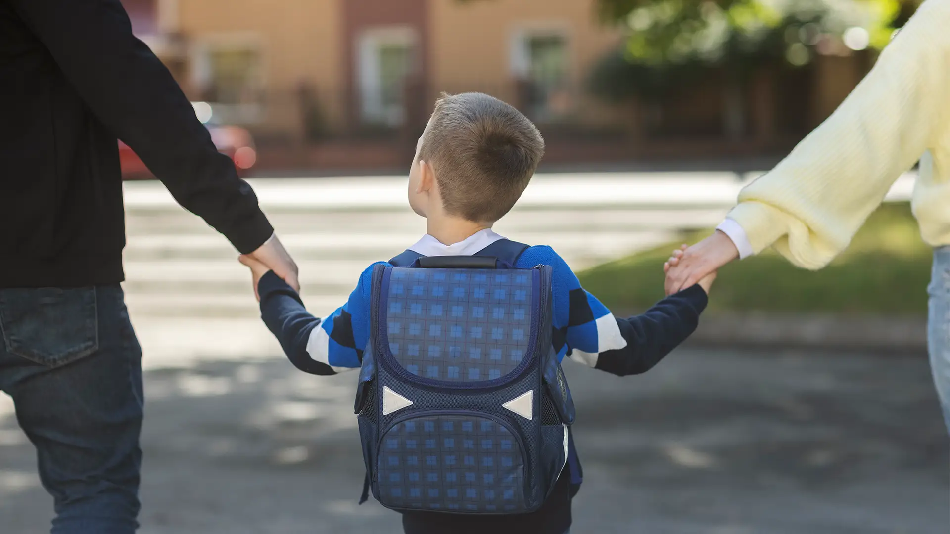 school searching in spain